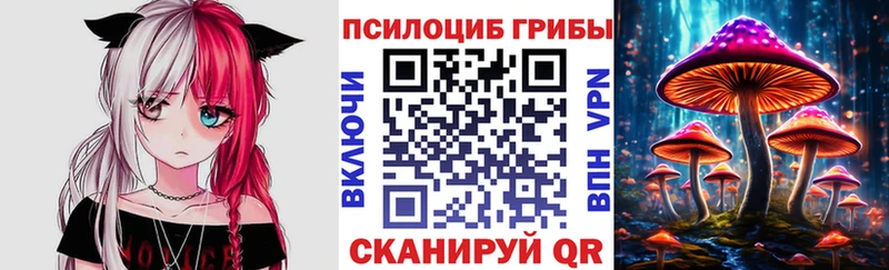Псилоцибиновые грибы Magic Shrooms  Купить где  Сясьстрой 