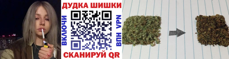 Купить где  Сясьстрой  Бошки Шишки планчик 